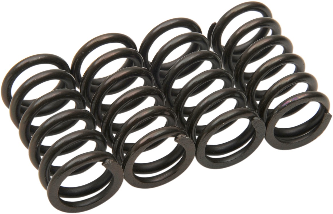 Clutch Spring Kits - Honda Clutch Springs - Click Image to Close