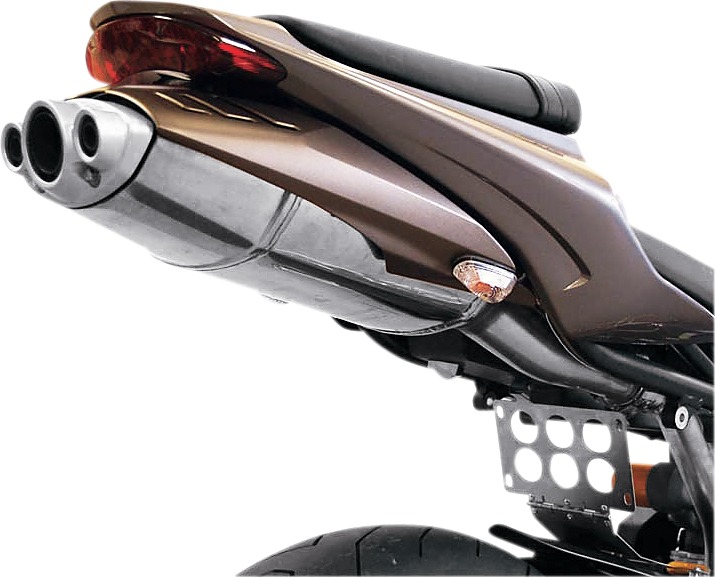 Fender Eliminator - for 06-08 Triumph Daytona 675 - Click Image to Close