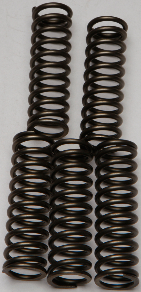 CSK Series Clutch Springs +15% - Click Image to Close