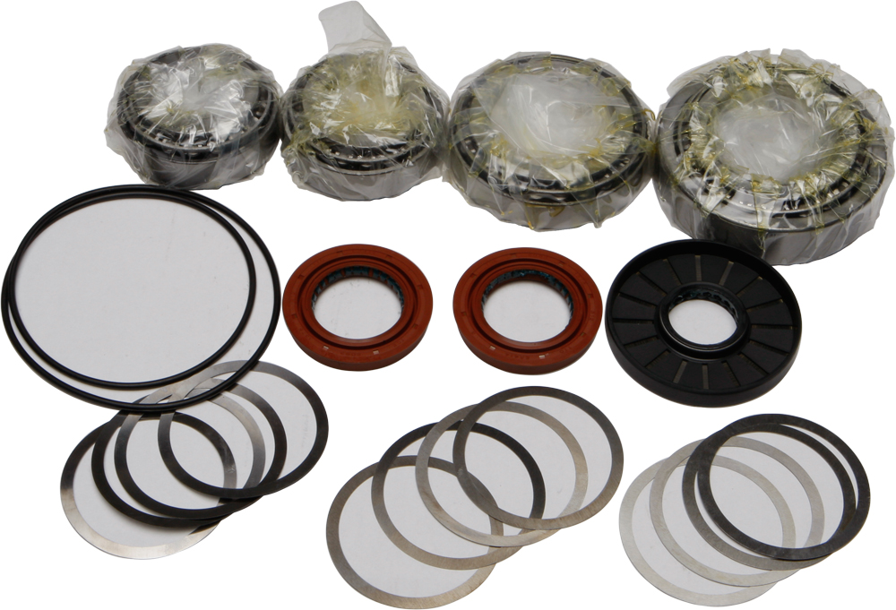 Differential Bearing & Seal Kit - Click Image to Close