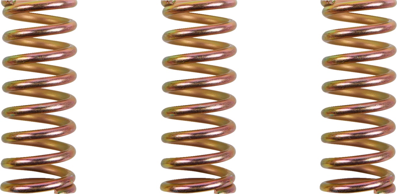 Clutch Spring Kits for Ducati - Duc Clu 3 Sprg Kit - Click Image to Close