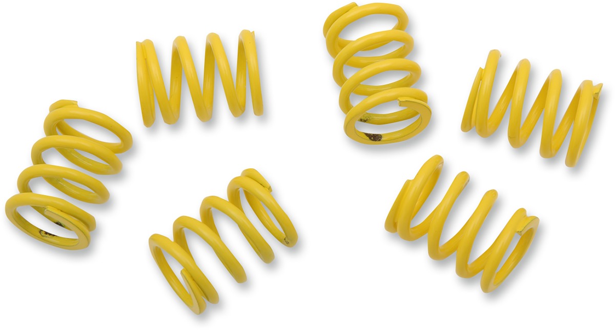 Clutch Spring Kits - Click Image to Close