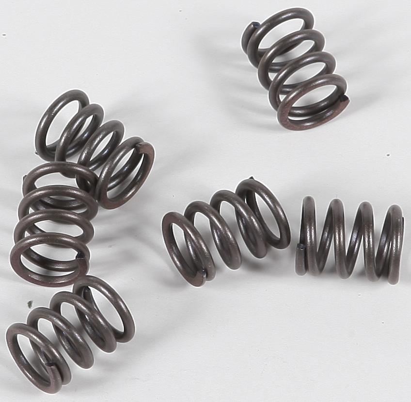 CSK Series Clutch Springs +15% - Click Image to Close