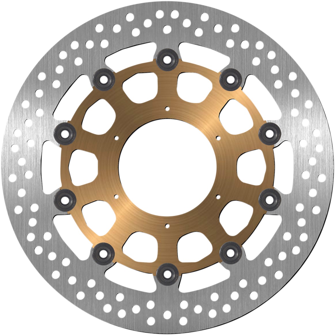 Floating Front Left/Right Brake Rotor - Click Image to Close