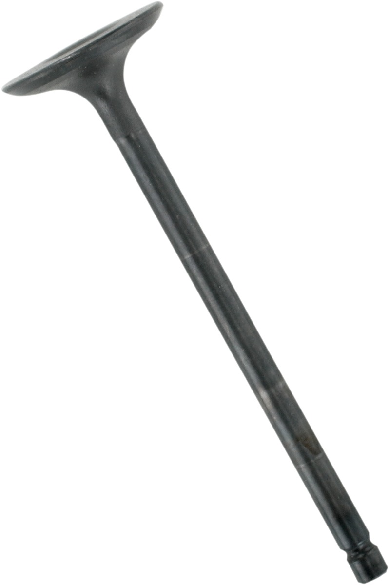 Stainless Steel Intake Engine Valve - Ss Int Valve Yfm660F/R - Click Image to Close