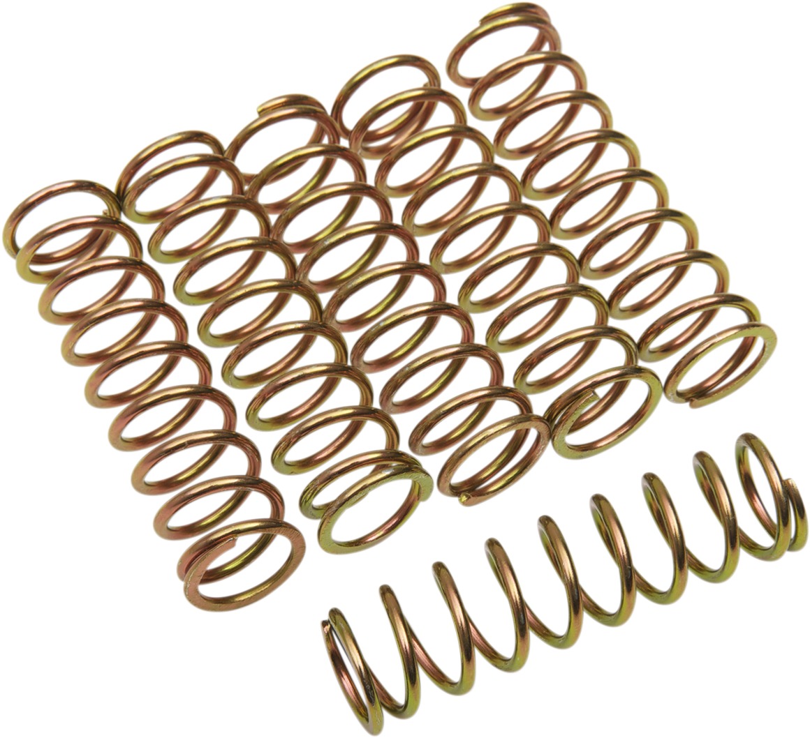 Clutch Spring Kits - Honda Clutch Springs - Click Image to Close