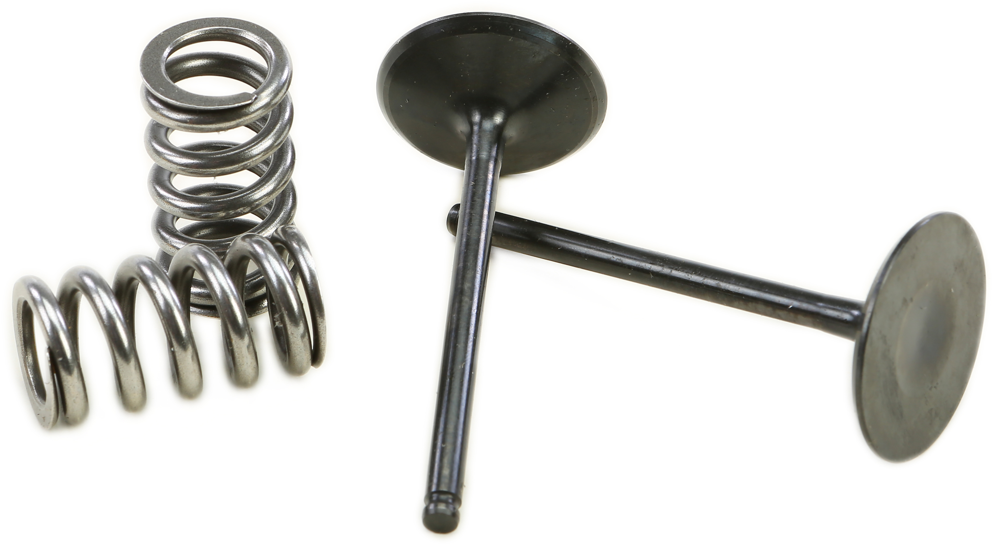 Steel Intake Valve/Spring Kit - For 14-18 Yamaha WR450F YZ450F/FX - Click Image to Close