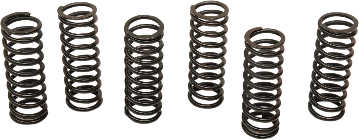 Clutch Spring Kits - Honda Clutch Springs - Click Image to Close