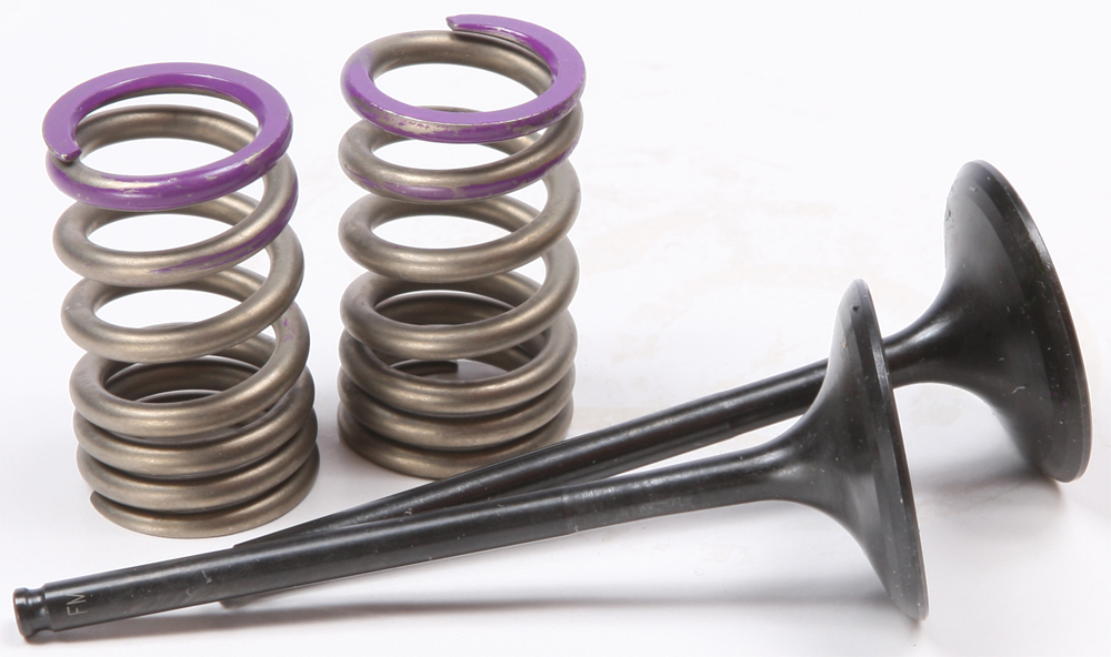 Steel Intake Valve/Spring Kit - For 09-10 Kawasaki KX250F - Click Image to Close