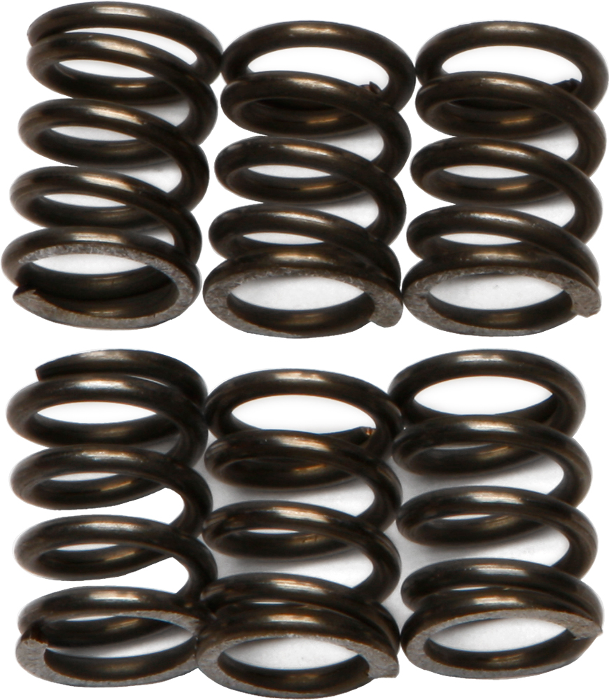 CSK Series Clutch Springs +15% - Click Image to Close