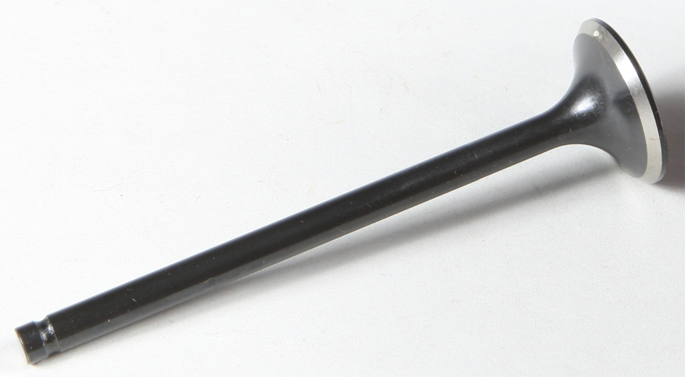 Black Diamond Intake Valve - Click Image to Close