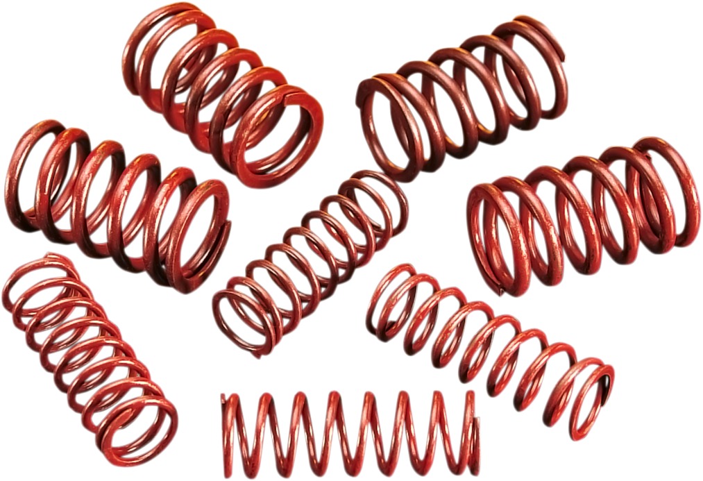 .550" Lift Springs and Collars - Valve Springs.550"Lift - Click Image to Close