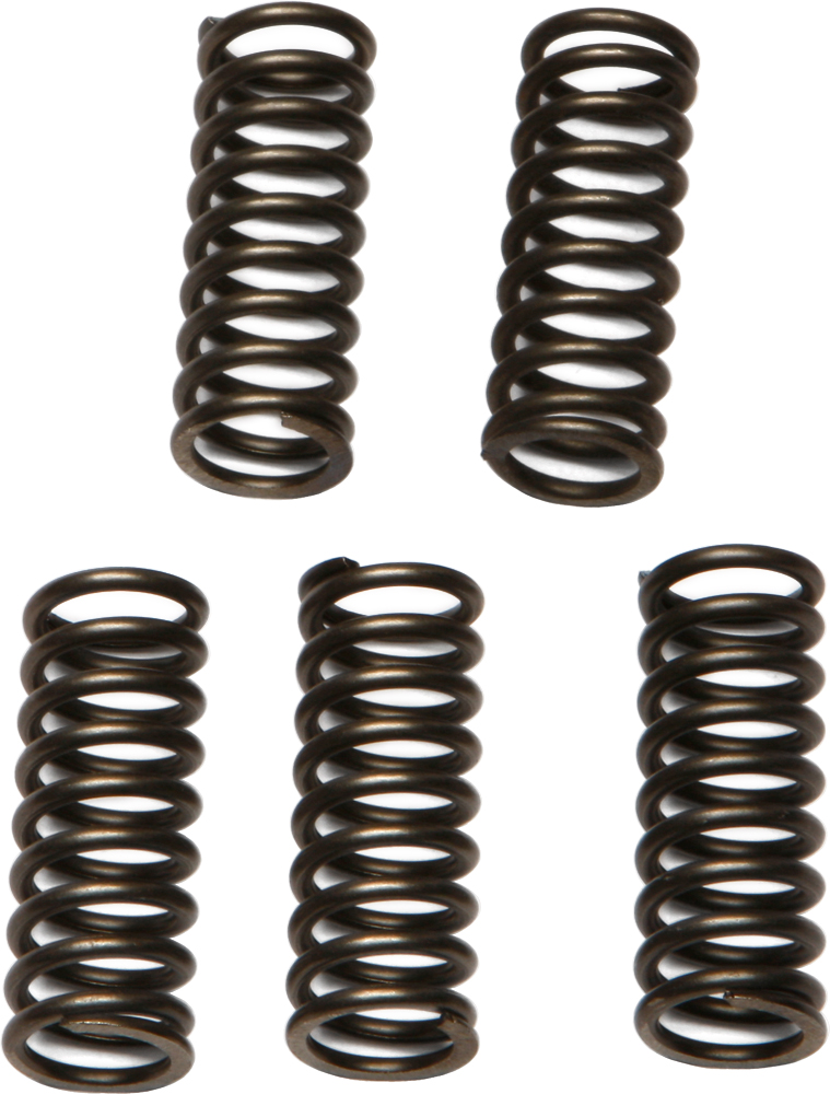 CSK Series Clutch Springs +15% - Click Image to Close