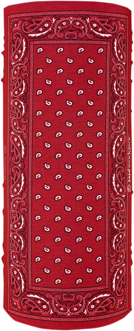 Motley Tube - Motley Tube Red Paisley - Click Image to Close