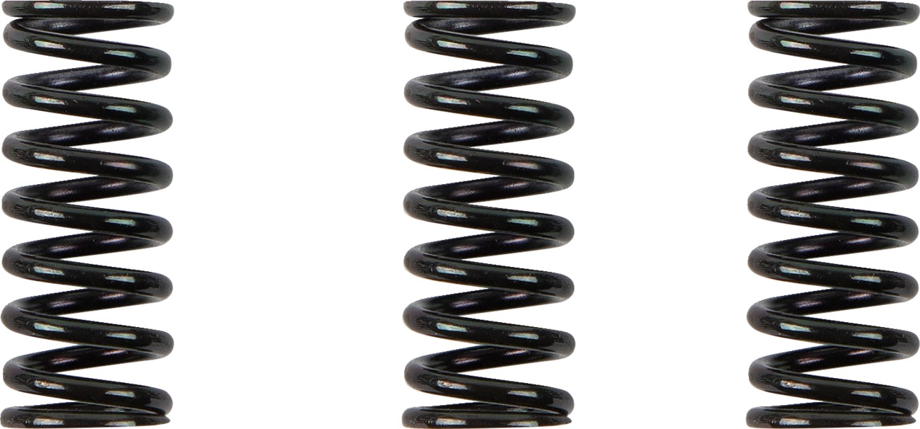 Clutch Spring Kits - Duc Clu 3 Sprg Kit - Click Image to Close