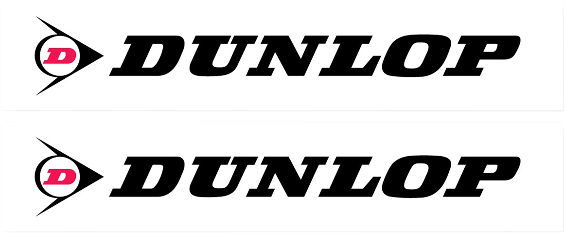 Generic Fork and Swingarm Stickers - Dunlop Wh Frk/Swng Kit '02 Fx - Click Image to Close