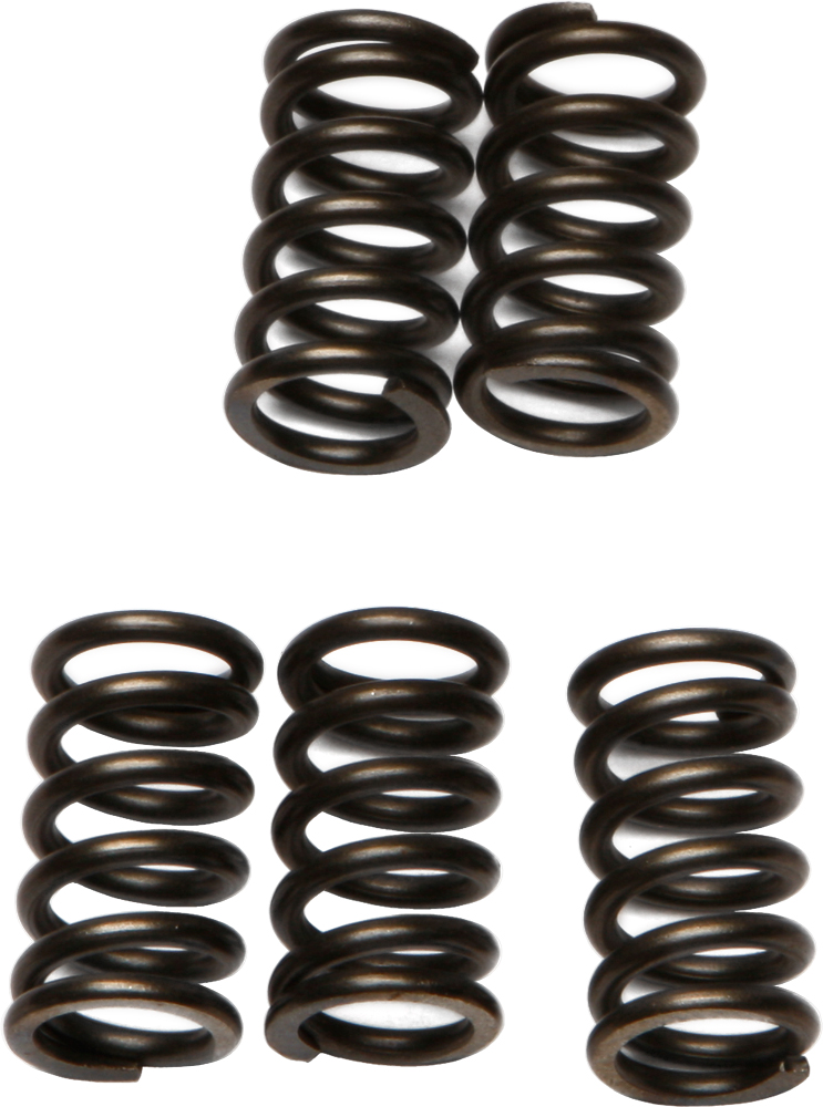 CSK Series Clutch Springs +15% - Click Image to Close