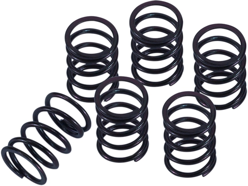 Clutch Spring Kits - Honda Clutch Springs - Click Image to Close