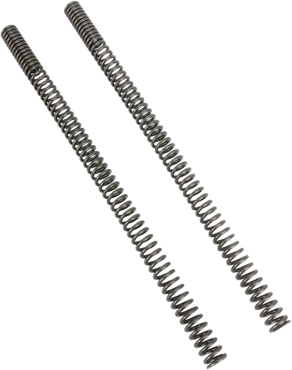 Fork Spring Kit 0.625KG - 0.9829KG - Click Image to Close