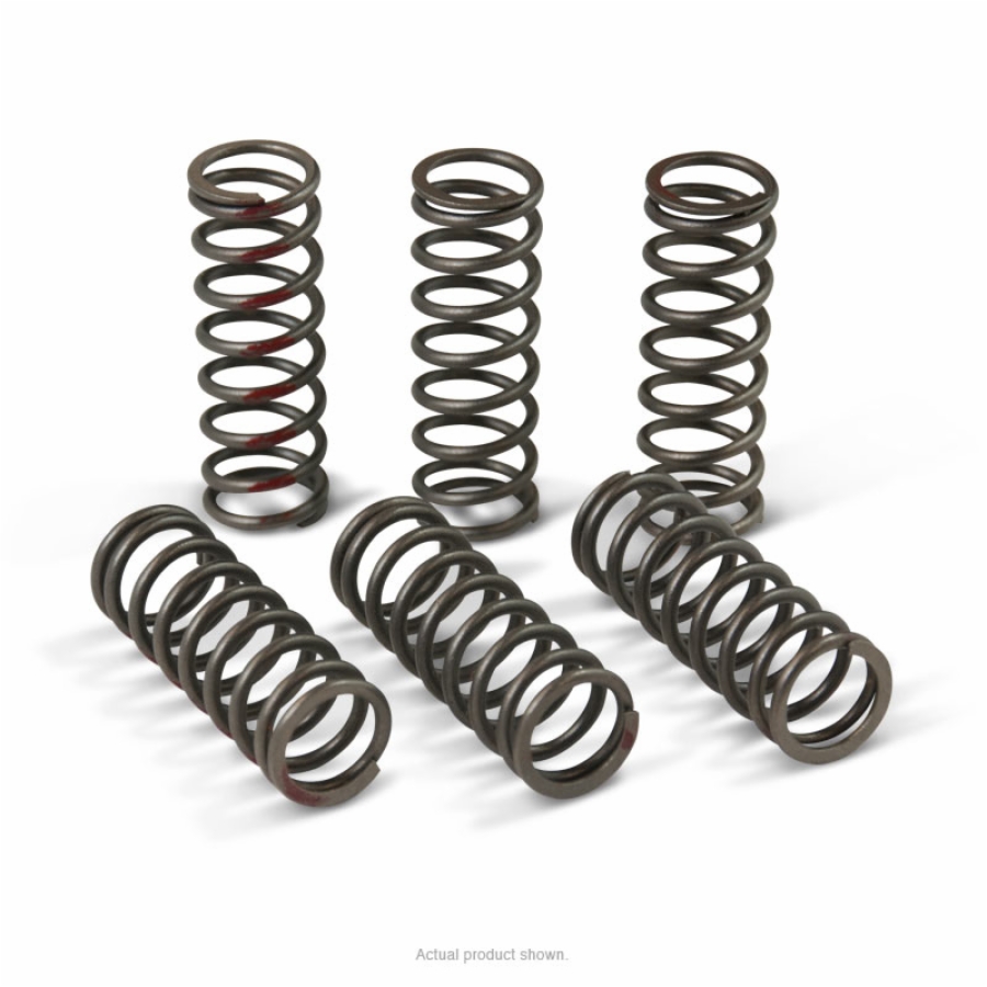 Performance Clutch Springs - For 13-17 CRF450R - Click Image to Close