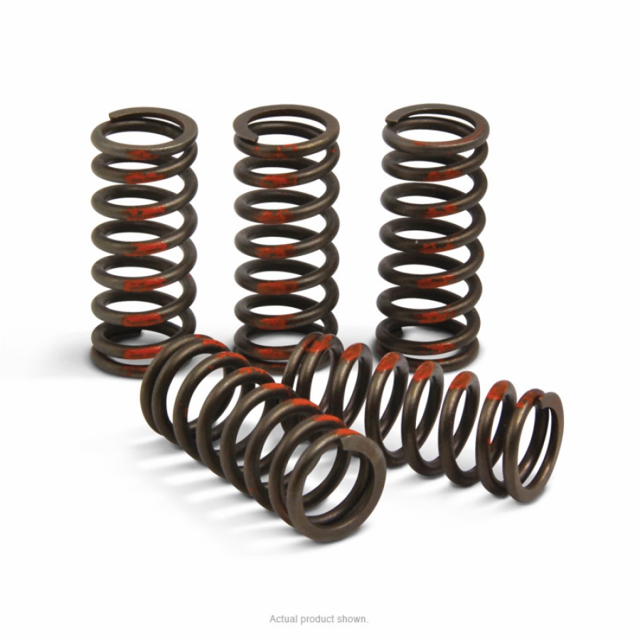 Performance Clutch Springs - For 03-14 KTM 85 SX - Click Image to Close