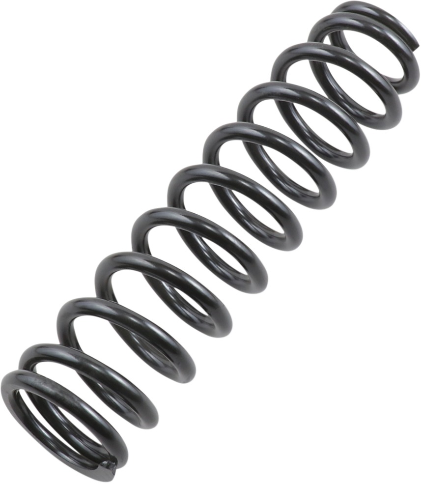 EPI Suspension Springs Kawasaki - Click Image to Close