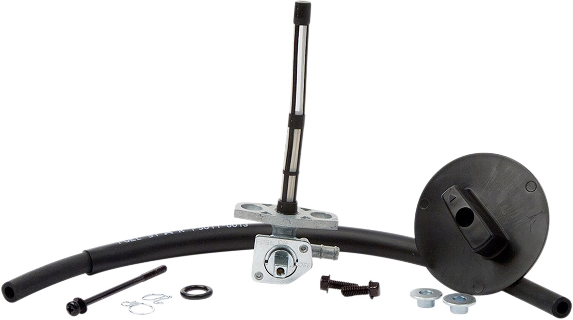 Valve Kits - Fuel Star Valve Kit - Click Image to Close