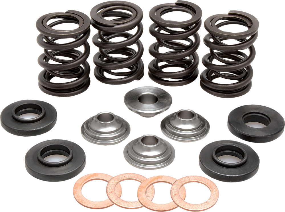 Racing Valve Spring Kit - For 00-06 KTM EXC MXC SX 400/520 - Click Image to Close