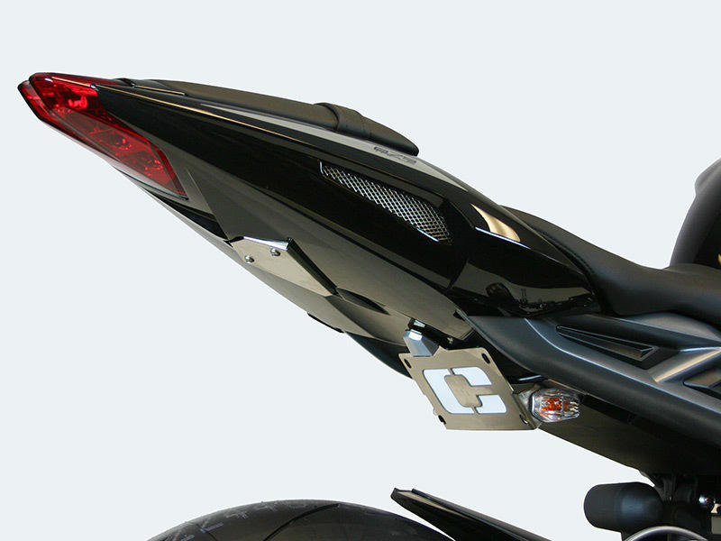 LTD Fender Eliminator - for 13-16 Triumph Daytona 675 & 675R - Click Image to Close