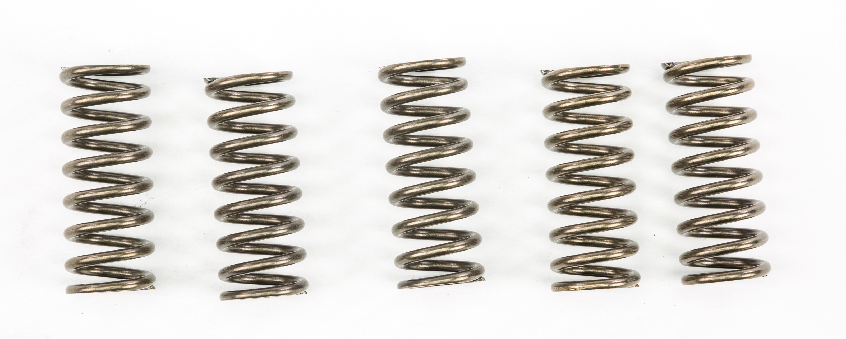 17-19 BMW G 310 GS (310cc) CSK Coil & Diaphram Spring Kits - Click Image to Close