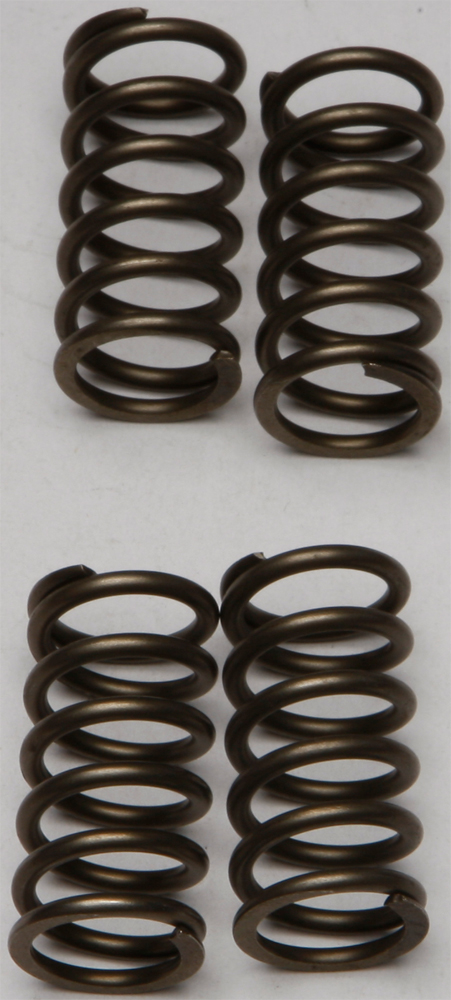 CSK Series Clutch Springs +15% - Click Image to Close