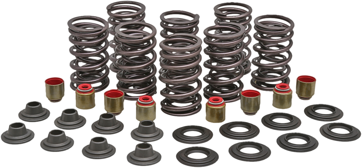 Precision Valve Springs Kits-Lit Racing - Click Image to Close