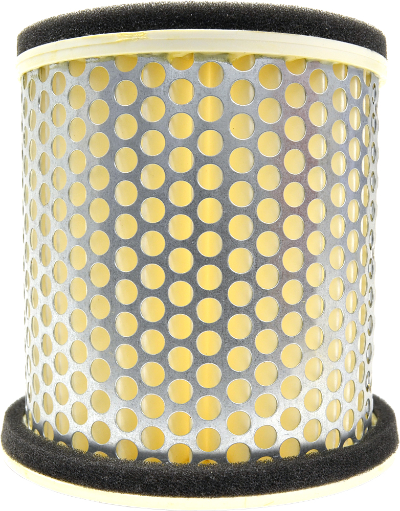 Air Filter Element - Replaces Yamaha 1AE-14451-00-00 - Click Image to Close