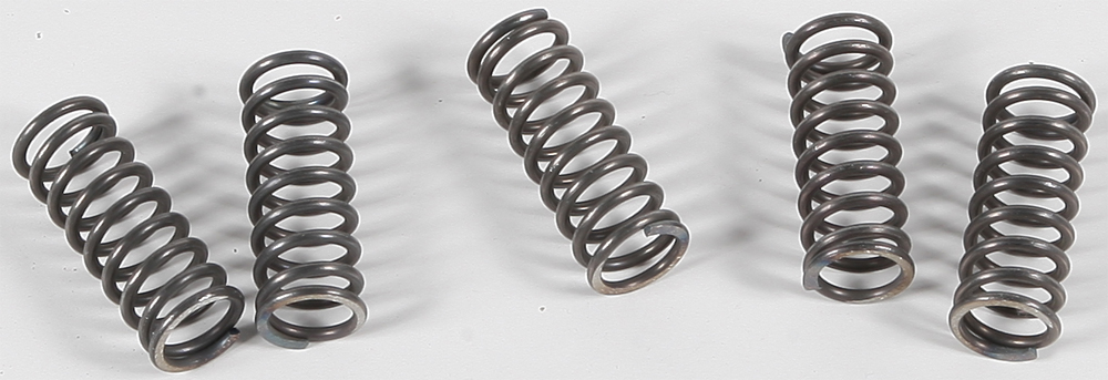 CSK Series Clutch Springs +15% - Click Image to Close