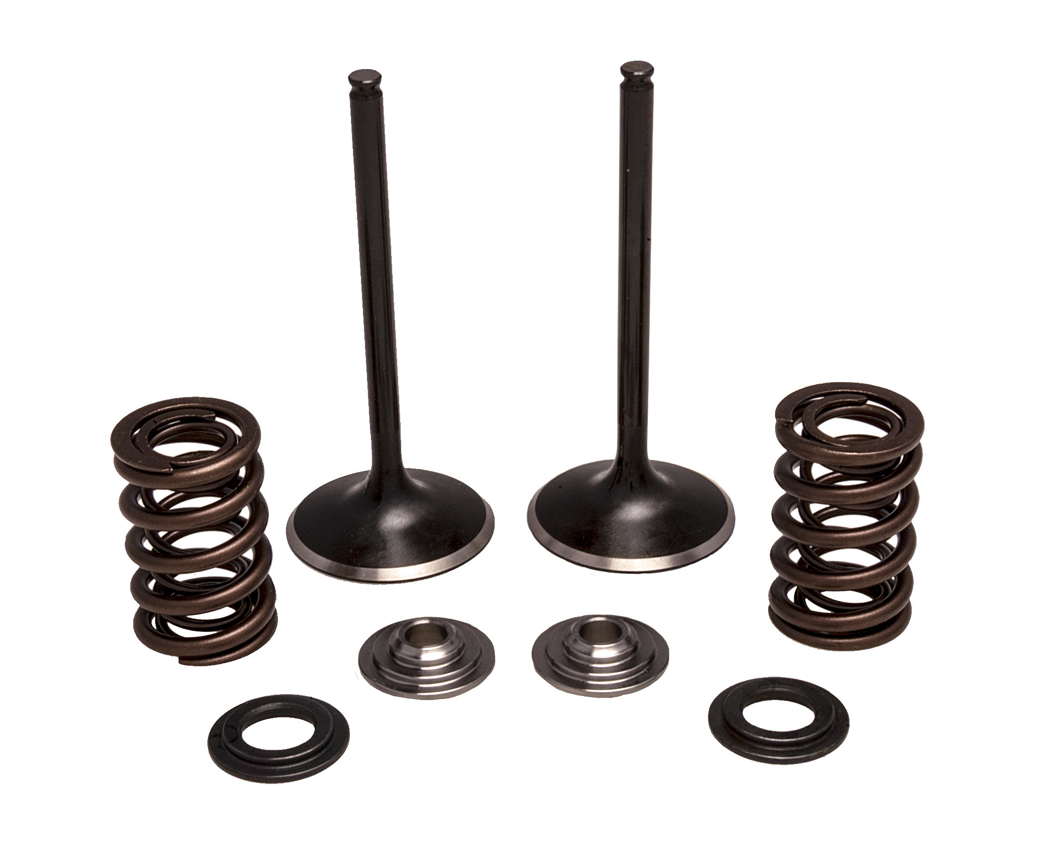 Intake Valve Spring Kit - For 04-05 Honda TRX450R - Click Image to Close