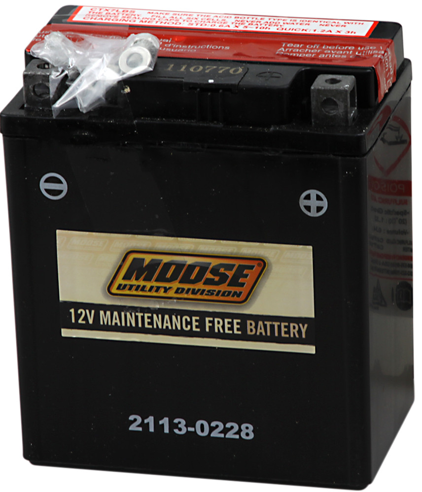 YTX AGM Maintenance Free Battery 100CCA 12V 6Ah - Replaces YTX7L-BS - Click Image to Close