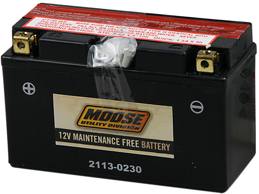 YT AGM Maintenance Free Battery 120CCA 12V 6.5Ah - Replaces YT7B-BS - Click Image to Close