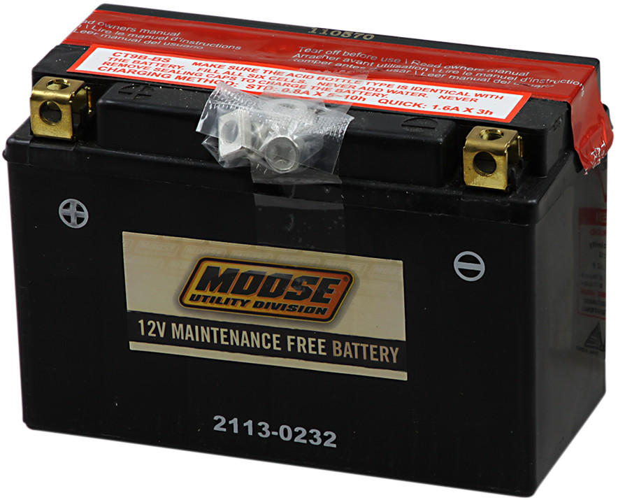 YT AGM Maintenance Free Battery 115CCA 12V 8Ah - Replaces YT9B-BS - Click Image to Close