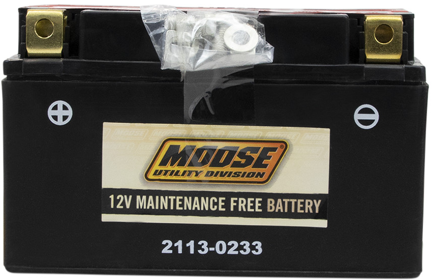 YTZ AGM Maintenance Free Battery 190CCA 12V 8.6Ah - Replaces YTZ10S - Click Image to Close