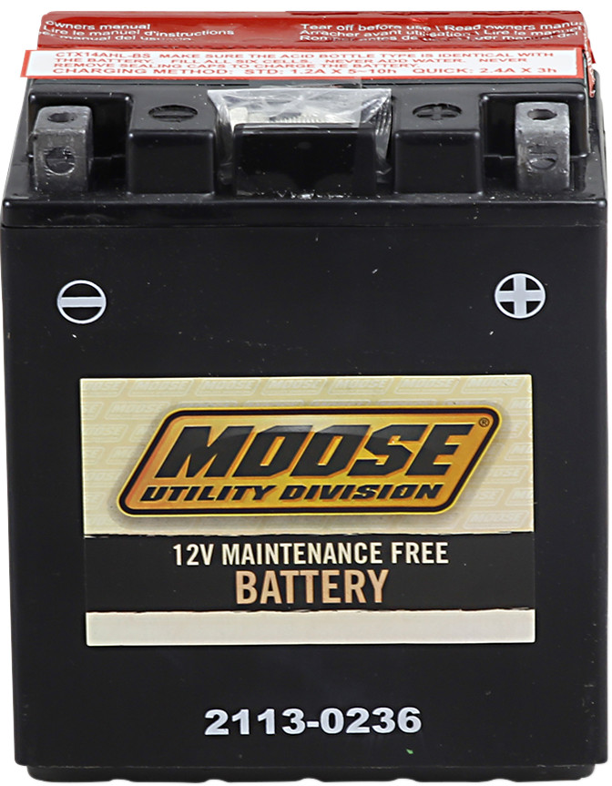 YTX AGM Maintenance Free Battery 210CCA 12V 12Ah - Replaces YTX14AHL-BS - Click Image to Close