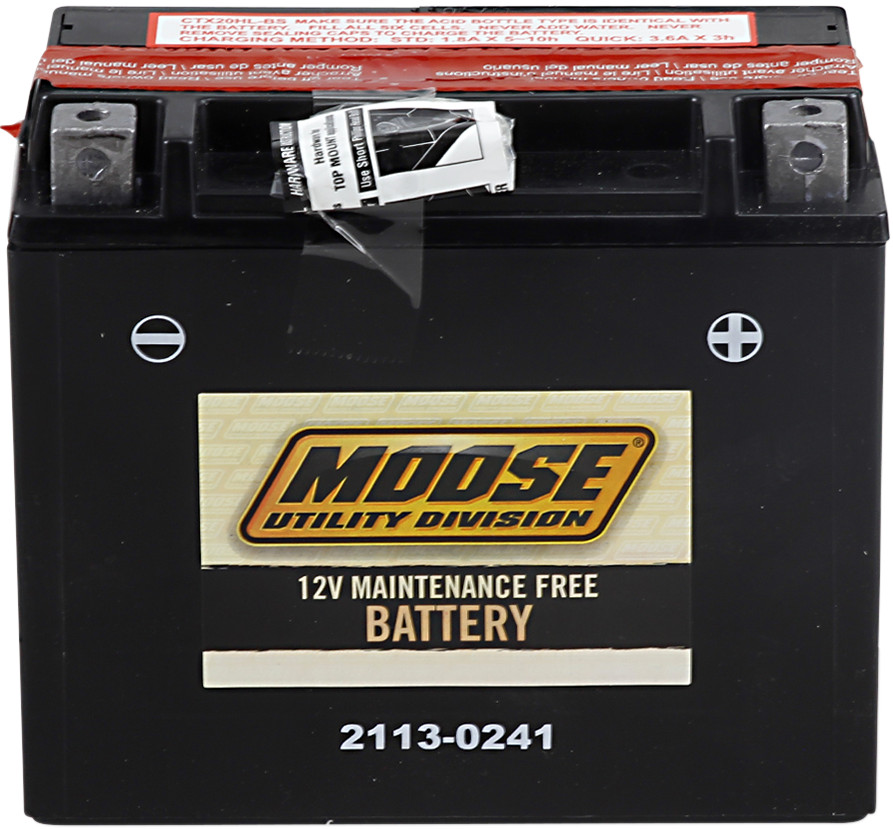 YTX AGM Maintenance Free Battery 310CCA 12V 18Ah - Replaces YTX20HL-BS - Click Image to Close