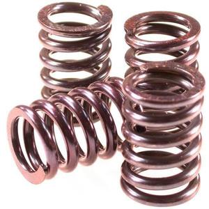 Clutch Spring Kits - Honda Clutch Springs