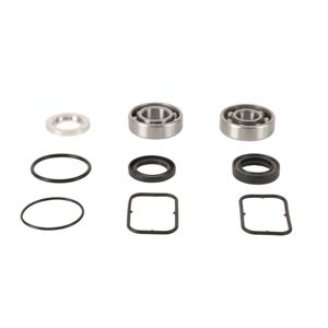 All Balls Racing Jet Pump Rebuild Kit