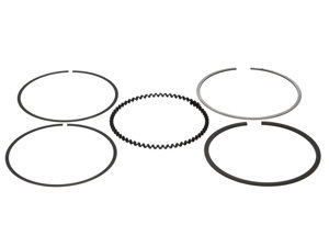 84.25mm x 1.0x1.2x2.8mm Ring Set Ring Shelf Stock