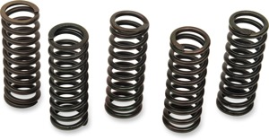 Clutch Spring Kits - Honda Clutch Springs