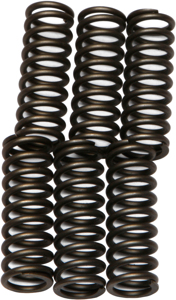 CSK Series Clutch Springs +15%