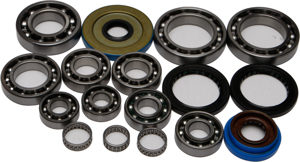 Differential Bearing & Seal Kit