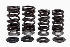 Racing Valve Spring Kit - For 17-20 Honda CRF450R/RX