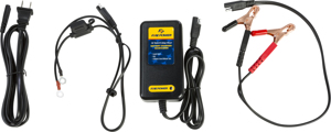 12V / 2 Amp Battery Charger