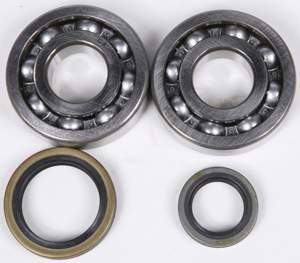 Crankshaft Bearing & Seal Kit - For 00-02 Suzuki RM250